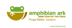 year of the frog banner
