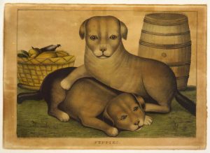 Two puppies, a barrel, and a basket of food, Library of Congress LC-USZC4-3218