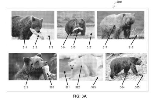 Anotate images with Bear (Object Entity) and Fish (Attribute-Entity) entities