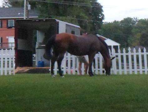 For example, a horse to a rancher is an animal. A horse to a carpenter is an implement of work. A horse to a gymnast is an implement on which to perform certain exercises.