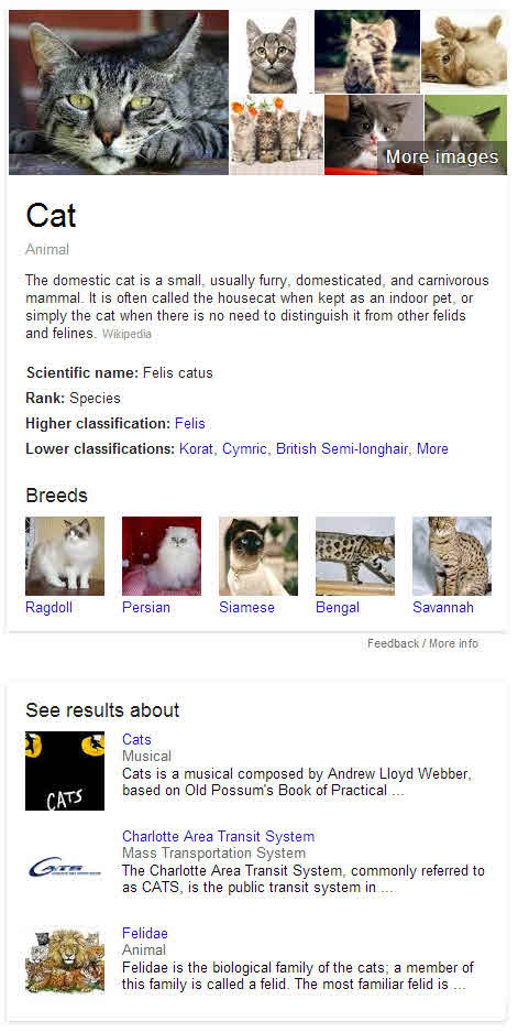 Google's knowledge panel results on a search for cats shows alternatives based upon the word and the concept both.