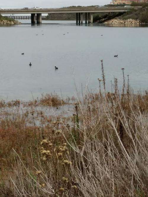 Getting Ducks in a Row