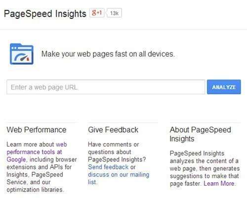 Google's PageSpeed Insights tool online interface.