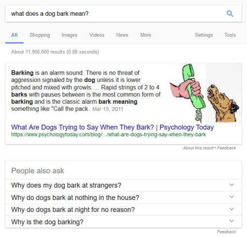 What does a dog bark mean?