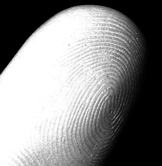 my fingerprint (index, left hand), Stefano Mortellaro, Some Rights Reserved