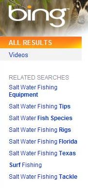 bing query suggestions at the left of search results
