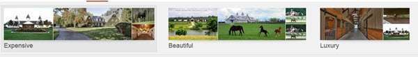 Categorized Images at the top of a search for 'horse farms'