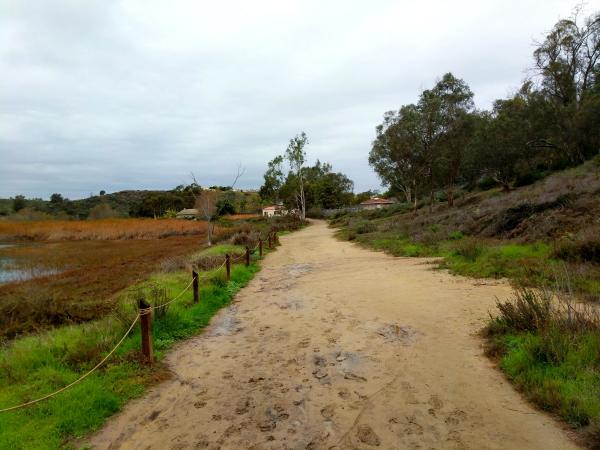 A Path through the Batiquitos Lagoon