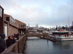 From Pier 39 in San Francisco