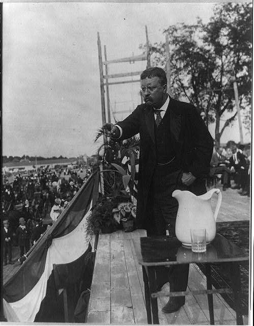 Teddy Roosevelt in Action