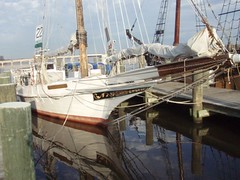 Skipjack Chestertown