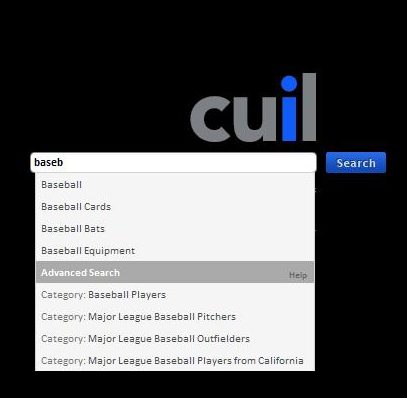 an example of Cuil predictive queries