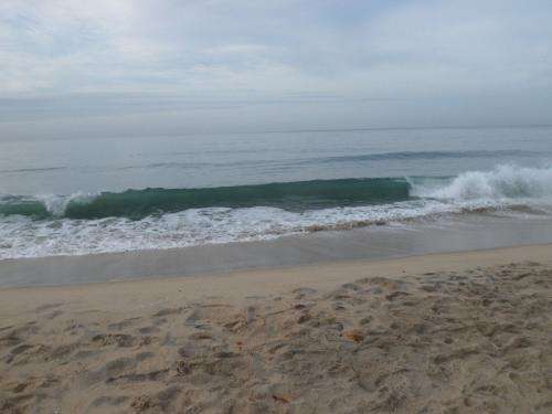 Even the Smaller Waves make me think of surfing on water instead of upon web sites.