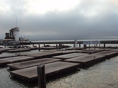Pier 39 in San Francisco