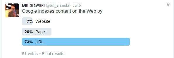 Google Indexes by Websites, Pages, or URLs