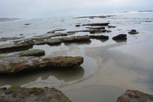 Cardiff-Tidal-pools