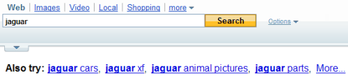 image showing a yahoo search box, with the search term jaguar within it, and results that include the phrase also try, with suggestions of other queries